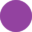 Oval@1x purple oval